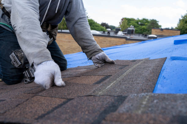 Professional Roofing Contractor in Belington, WV
