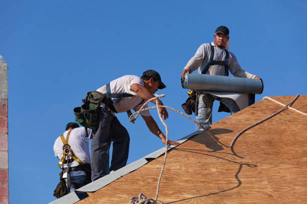 Best Flat Roof Repair Services  in Belington, WV