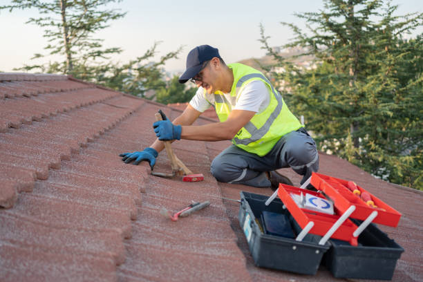 Best Roof Maintenance Services  in Belington, WV